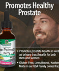 Nature'S Answer Saw Palmetto Berry Extract Herbal Supplement with Organic Alcohol 1-Fluid Ounce | Supports Prostate Health | Minimize Hair Loss | Maintains Healthy Bladder