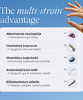Pendulum Metabolic Daily Multi Strain Probiotic with Akkermansia muciniphila to Support Metabolism and Sustain Energy Levels for Women and Men 30 Capsules 1 Pack