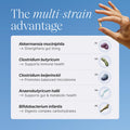 Pendulum Metabolic Daily Multi Strain Probiotic with Akkermansia muciniphila to Support Metabolism and Sustain Energy Levels for Women and Men 30 Capsules 1 Pack