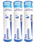 Boiron Ruta Graveolens 6c Homeopathic Medicine for Eye Strain - Pack of 3 (240 Pellets)