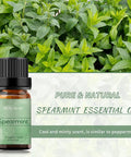 BURIBURI Spearmint Essential Oil - 2 Pack 100% Pure Organic Spearmint Essential Oils 10ML for Diffuser, Aromatherapy, Massage, Soap Making
