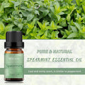BURIBURI Spearmint Essential Oil - 2 Pack 100% Pure Organic Spearmint Essential Oils 10ML for Diffuser, Aromatherapy, Massage, Soap Making