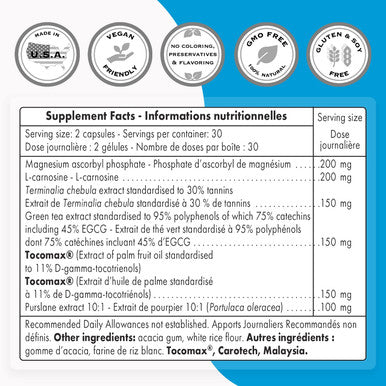 Supersmart Telomeres Maintenance Formula Innovative Anti Aging Supplement Formula with Extract of Green Tea 95 Polyphenols Tocomax NonGMO Gluten Free 60 Vegetarian Capsules