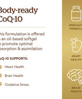Solgar Megasorb Coq-10 400 Mg 30 Softgels - Supports Heart & Brain Function - Coenzyme Q10 Supplement - Enhanced Absorption - Gluten Free Dairy Free - 30 Servings