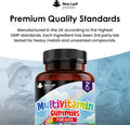 New Leaf Products Multivitamins for Children Kids Sugar Multivitamin Gummies Two Months Plus Zinc 16 Essential Vitamins A B3 B5 B6 B7 B9 B12 C D E with Minerals Gluten- Vegan Halal Multivits for Kids