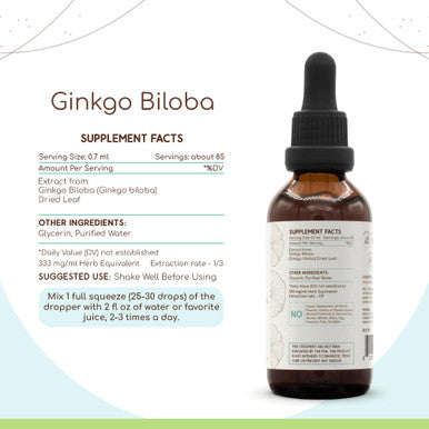 Ginkgo Biloba B60 Alcohol-Free Herbal Extract Tincture, Concentrated Liquid Drops Natural Ginkgo Biloba (Ginkgo Biloba) Dried Lea