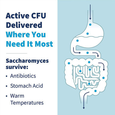 Klaire Labs Sfi Health Saccharomyces Boulardii Probiotics For Women And Men - Vegan, Hypoallergenic S. Boulardii Probiotics For Digestive Health & Immune Support - Heat-Stable (120 Capsules)