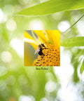 Nature'S Sunshine Bee Pollen 100 Capsules | Has A Strong Nutritional Profile That Offers A Natural Energy Boost