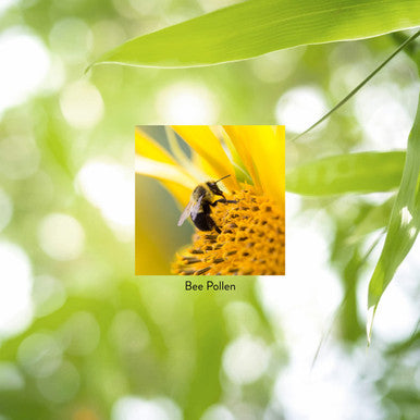 Nature'S Sunshine Bee Pollen 100 Capsules | Has A Strong Nutritional Profile That Offers A Natural Energy Boost