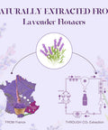 Asakuki Lavender Essential Oil 100Ml, Natural Therapeutic Grade, Aromatherapy Oil Lavender For Better Sleep, Health Care, Relaxation, Ideal For Humidifier, Diffuser & Wellness