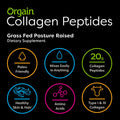 Orgain Grass Fed Hydrolyzed Collagen Peptides Protein Powder Paleo Keto Friendly Amino Acid Supplement Pasture Raised Grass Fed Clean Protein Shake Creamy Chocolate Fudge Meal Replacement