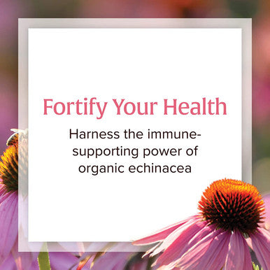 Natural Factors AntiV Liquid Formula Echinacea Supplement for Immune and Wellness Support Organic NonGMO 1.7 oz 50 servings