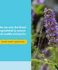 WomenSense by Natural Factors Vitex Chasteberry Extract Helps Sooth Symptoms of PMS and Menopause 90 capsules (90 servings)