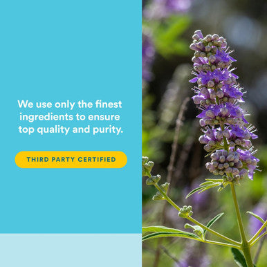 WomenSense by Natural Factors Vitex Chasteberry Extract Helps Sooth Symptoms of PMS and Menopause 90 capsules (90 servings)