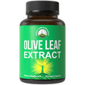 Olive Leaf Extract Capsules. Pure High Strength In Vegan Capsules With 20% Oleuropein, High Antioxidants. Supports Optimal Immune