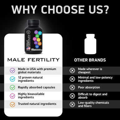 Fertility Supplements For Men - Advanced Fertility Blend For Men With Zinc, Maca, Ashwagandha, L-Arginine - Conception Fertility Prenatal Vitamins And Male Fertility Support Supplement - 120 Pills