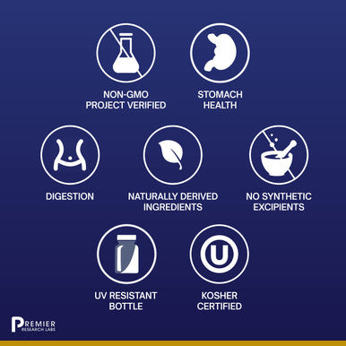 Premier Research Labs Gastroven - Supports Healthy Stomach & Digestion - Digestive Supplements - With Enzymes, Ginger, Bromelain
