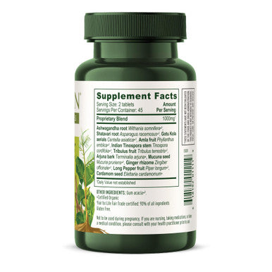 Banyan Botanicals Stress Ease Organic Herbal Supplement For Stress & Fatigue* With Ayurvedic Adaptogen Ashwagandha (Withania Somnifera) Root 90 Tablets Non-Gmo Sustainably Sourced Vegan