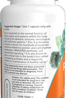 Enzymedica, Ph-Basic, Enzymes To Support Healthy Digestion And Ph Balance, 120 Capsules