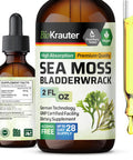 BIO KRAUTER Ginkgo Biloba Extract - Liquid Brain Supplement For Memory And Focus - Organic Ginkgo Biloba Leaf Tincture - Vegan, Alcohol & Sugar Free Drops 2 Fl Oz