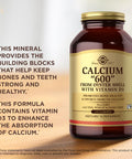 Solgar Calcium "600" - 240 Tablets Pack Of 2 - From Oyster Shell With Vitamin D3 - Non-Gmo Gluten Free Dairy Free - 240 Total Servings