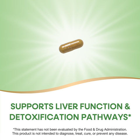 Nature'S Way Milk Thistle Supports Liver Function & Liver Detox Pathways 175 Mg Milk Thistle Seed Extract Standardized To 80 Silymarin Per Serving Vegan 60 Capsules (Packaging May Vary)