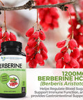 Berberine with Ceylon Cinnamon 1200mg Berberine 100mg Organic Ceylon Cinnamon 120 Veggie Capsules Healthy Immune System Cardiovascular Heart Gastrointestinal Wellness 2 Pack