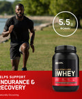 Optimum Nutrition (On) Gold Standard 100% Whey Protein Powder For Muscle Support & Recovery Primary Source Whey Protein Isolate Vanilla Ice Cream 10 Lbs