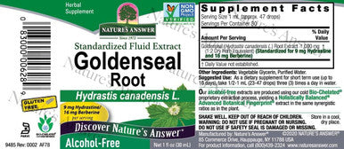 Nature'S Answer Alcohol- Golden Seal Root 1oz Extract | 9mg of Hydrastine and 16mg of Berberine Per Serving | Natural Immune Booster | Promotes Lung Health | Single Count
