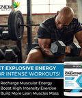 Renew Actives Creatine Monohydrate Powder, Ultimate Post Or Pre Workout Powder For Muscle Growth, Mass Gainer, And Increased Strength, 100% Pure Creatine Powder 5G Per Serving/ 60 Serving