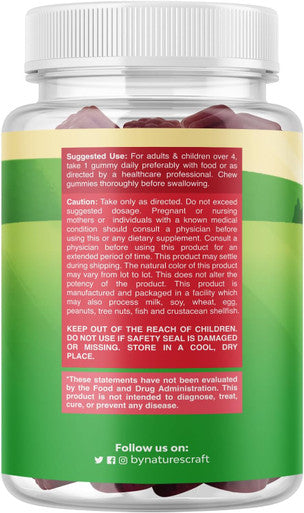 Natures Craft Sambucus Elderberry Gummies for Kids Health - Delicious Black Elderberry Gummies with Zinc and Vitamin C for Kids Immune Support - Gelatin and Gluten Non-GMO Kids Immunity Support 90 Gummies