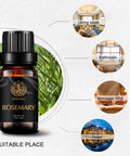 Aromatherapy Essential Oils, Rosemary Aromatherapy Essential Oils (0.33 oz - 10ml), 100% Pure Essential Oils Rosemarry Scent for Diffuser, Humidifier, Massage, Aromatherapy, Skin & Hair Care