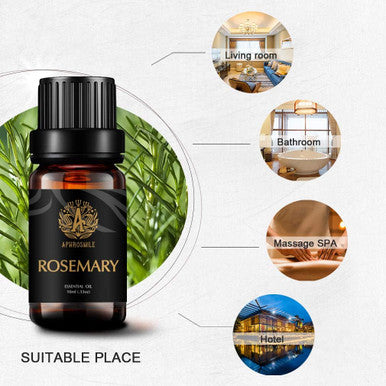 Aromatherapy Essential Oils, Rosemary Aromatherapy Essential Oils (0.33 oz - 10ml), 100% Pure Essential Oils Rosemarry Scent for Diffuser, Humidifier, Massage, Aromatherapy, Skin & Hair Care