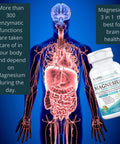 (120 Capsules) 2,253mg Providing 420mg Elemental Magnesium L-Threonate Bisglycinate Chelate Malate, for Brain Sleep Cramps Headaches Energy Heart from Kappa Nutrition.
