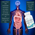 (120 Capsules) 2,253mg Providing 420mg Elemental Magnesium L-Threonate Bisglycinate Chelate Malate, for Brain Sleep Cramps Headaches Energy Heart from Kappa Nutrition.
