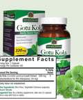 Nature'S Answer Gotu Kola | Dietary Supplement | Supports a Healthy Immune System | Made in the USA | Gluten- Vegan & Vegetarian Capsules 60ct