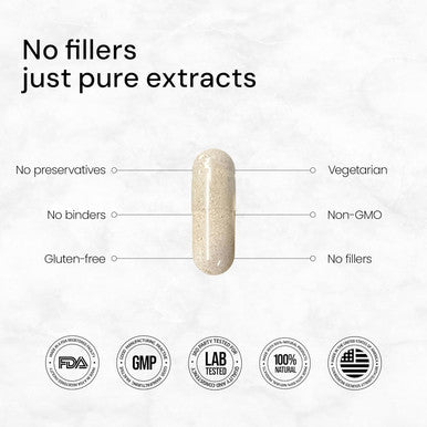 Aceworkz Elite Brain - Nootropic Brain Supplement For Focus, Memory, & Mental Clarity - Alcar, Lions Mane, Ala, L-Theanine, Vitamin B Complex - Natural Energy, Caffeine-(60 Capsules)