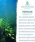 Holistic Bin Marine Phytoplankton Capsules ly Grown in Nordic Seawater | Vegan Omega 3 Supplement | Rich in Amino s, Chlorophyll, Vitamins, & Trace Minerals