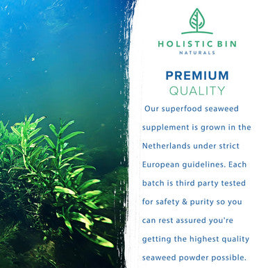 Holistic Bin Marine Phytoplankton Capsules ly Grown in Nordic Seawater | Vegan Omega 3 Supplement | Rich in Amino s, Chlorophyll, Vitamins, & Trace Minerals