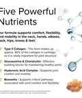 Terry ly Be Mobile - 60 Capsules - Joint Support Supplement - with Type II Collagen, Glucosamine, Chondroitin, Hyaluronic & Boswellia - Non-GMO, - 20 Servings