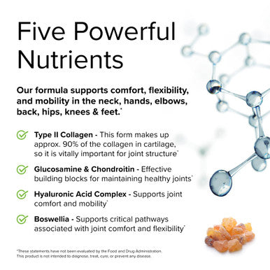Terry ly Be Mobile - 60 Capsules - Joint Support Supplement - with Type II Collagen, Glucosamine, Chondroitin, Hyaluronic & Boswellia - Non-GMO, - 20 Servings