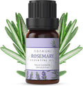 Asakuki Rosemary Essential Oil, Natural Aromatherapy Oils For Diffuser, Humidifiers, Candle Making