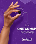 Sambucol Black Elderberry Gummies For Kids - Elderberry Gummies With Zinc And Vitamin C Chewable Supplement For Kids Low Sugar Berry Flavor 30 Count