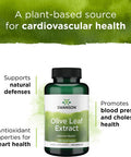 Swanson Olive Leaf Extract Capsules with 20% Oleuropein - Provides Immune Support Promotes Cardiovascular System Health and Supports Healthy Blood Pressure - (120 Capsules 500mg Each)