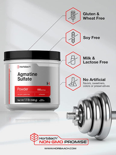 Agmatine Sulfate Powder | 500 Grams | 666 Servings | Unflavored | Pre Workout Supplement | Vegetarian, Non-GMO & Gluten Free | by Horbaach