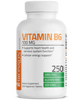 Vitamin B6 100 Mg Premium Vitamin B6 Supplement Promotes Protein Metabolism And Immune Function - 250 Tablets