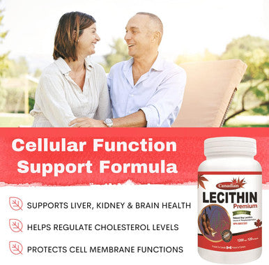 Premium Natural Soy Lecithin Capsules 1200mg [120 Softgels] Immune Support Supplement Rich in Phospholipids, Liver & Kidney Function Support, Sourced and Made In Canada by Nutridom