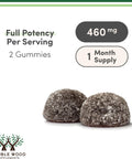 Magnesium Glycinate Gummies (400mg per Serving 30 Day Supply Grape Flavored) High Absorption Magnesium Supplement for Adults or Kids by Double Wood Supplements