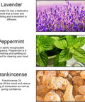 Therapeutic-Grade Aromatherapy Essential Oils Set, Peppermint Lavender Frankincense Essential Oils Set, 100% Pure Aromatherapy Essential Oils Kit for Diffuser, Massage, Humidifier 3x10ml
