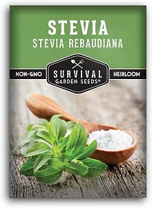 Stevia Seeds for Planting, Stevia rebaudiana - 1 Pack | Natural Sweet Herb, Tender Perennial for Warm Climates or Indoor Growing, Non-GMO Heirloom - Survival Garden Seeds
